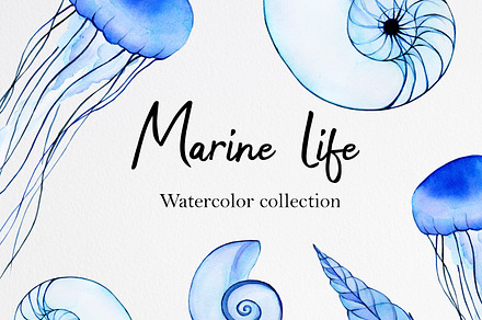 Marine life. Watercolor collection