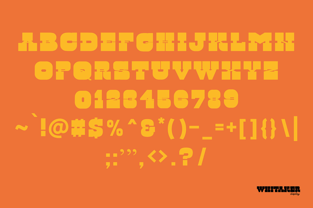 WHITAKER DISPLAY, a Slab Serif Font by Midnight Grim (Photo 4 of 5)