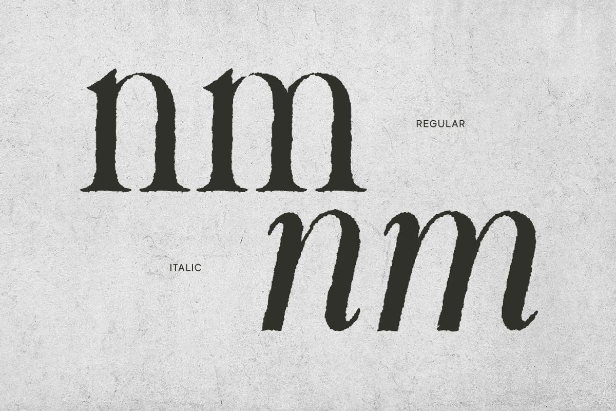 Mirellow White Distressed Serif, a Serif Font by Letterhend Studio (Photo 4 of 13)