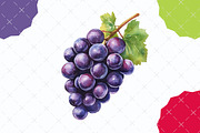 Fruits PNG Clipart Bundle, an Illustration by designcity5 (Thumbnail 5 of 5)