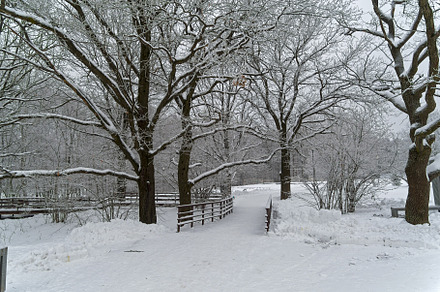 Pedestrian walkway in the winter park.