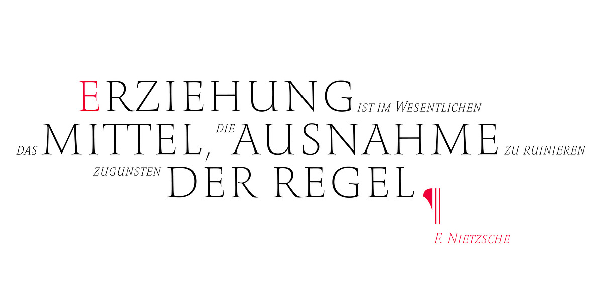 Romis, a Serif Font by Finaltype (Photo 20 of 22)