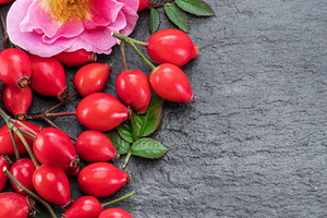 Red ripe rose-hips on gray graphite, a Food & Drink Photo by Volff