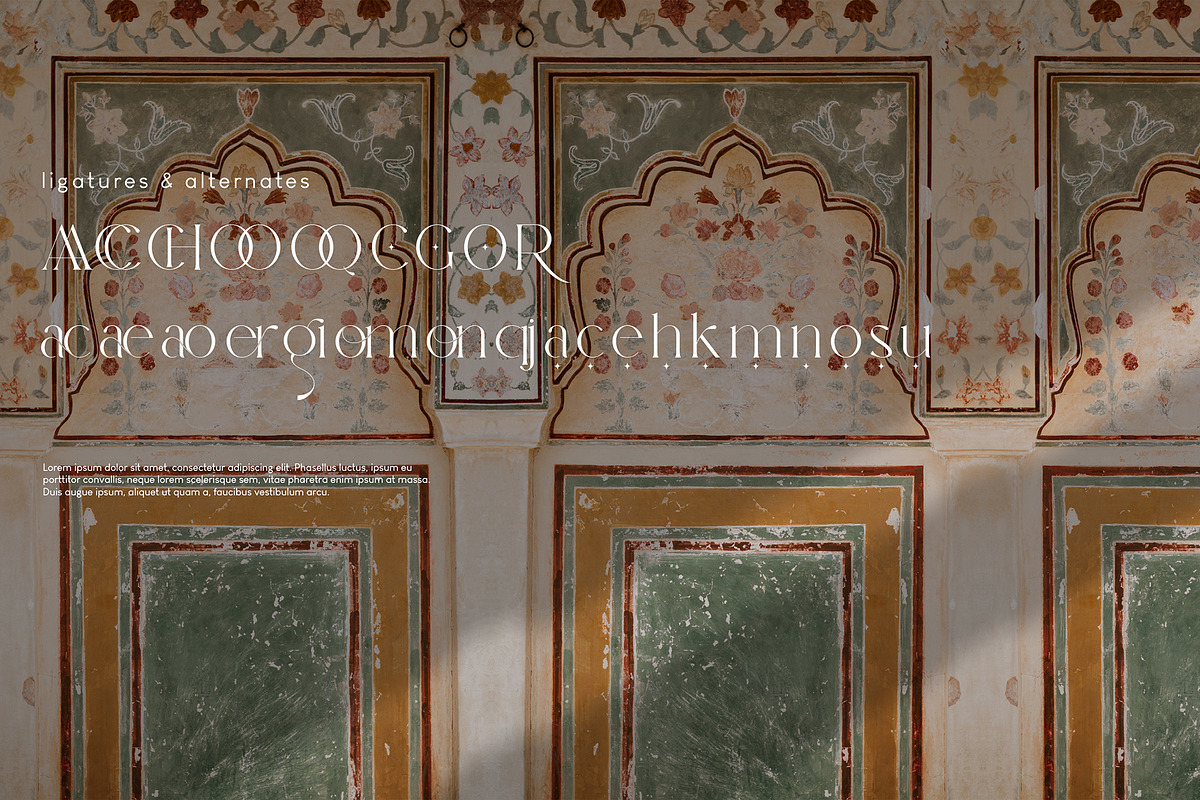 Oleragie Elegant Serif, a Serif Font by Hishand Studio (Photo 2 of 10)