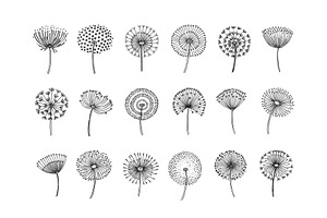 Dandelion Set. Doodle Hand Drawn