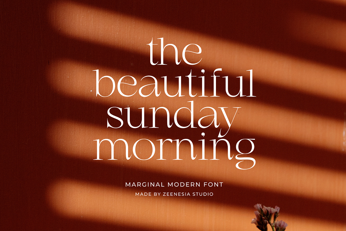 Marginal - A Modern Font, a Serif Font by zeenesia (Photo 2 of 18)