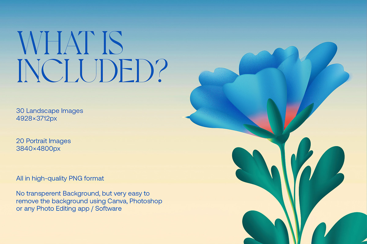 50 Digital Flower Image Collection, a Background Graphic by MindMuse (Photo 3 of 7)