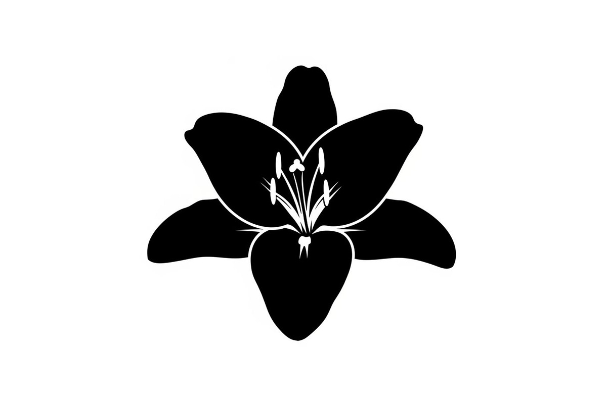 Black Lily Flower Vector Bundle, an Illustration by Designs_River (Photo 9 of 51)
