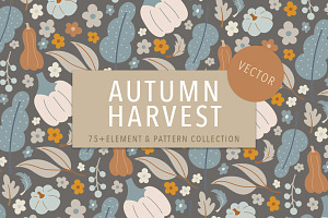 Autumn Harvest Vector Collection