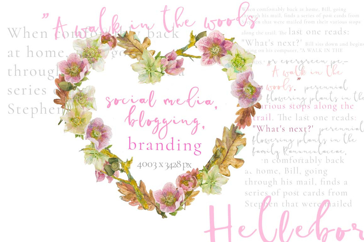 Hearts-watercolor-Hellebore, an Illustration by watercolorwild.graphics (Photo 6 of 19)