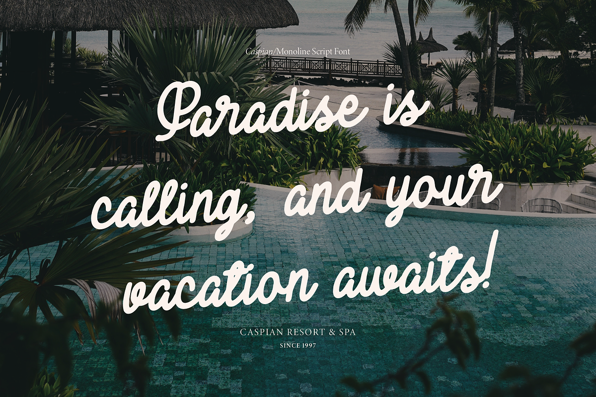 Caspian | Monoline Script, a Script Font by Denustudios (Photo 9 of 15)
