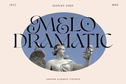 Shavina Elegance, a Serif Font by INKSUN™ (Thumbnail 8 of 12)