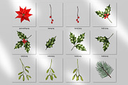 Poinsettia christmas png clipart, an Illustration by ARTVracovska (Thumbnail 2 of 5)