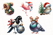 Christmas Birds Watercolor Clipart, an Illustration by OK Design (Thumbnail 5 of 5)