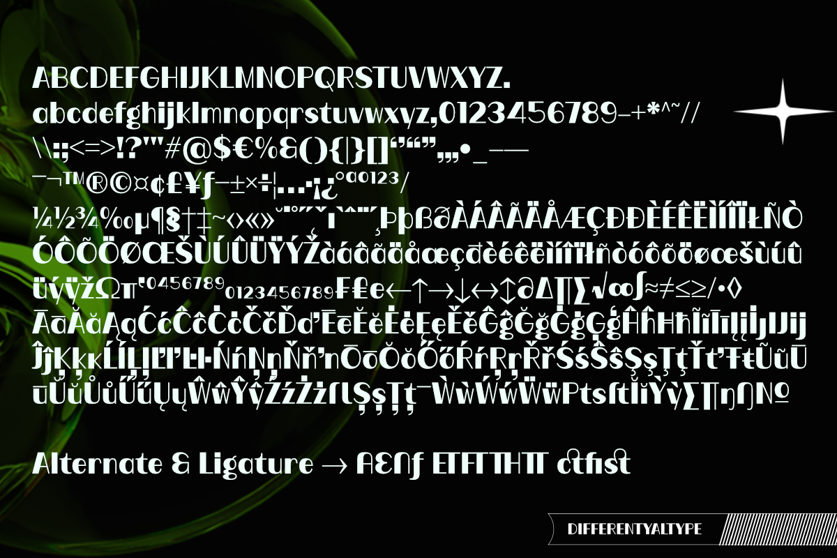 Gede Sesisi - Sans Display Font, a Sans Serif Font by Differentialtype (Photo 9 of 10)