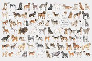 DOG BREEDS Encyclopedia, an Animal Illustration by Anastezia Luneva (Thumbnail 12 of 13)