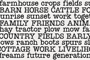 Farmland | Rustic Typewriter Font, a Serif Font by KA Designs (Thumbnail 5 of 11)