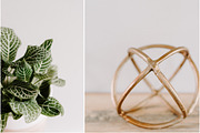 Farmhouse Fall Styled Stock Photos, a Holiday Photo by LaPorte Images (Thumbnail 6 of 12)
