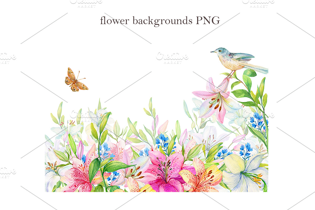 Lilies watercolor set, an Illustration by MitrushovaArt (Photo 5 of 14)