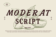 Moderat Script Elegant Natural Flow, a Script Font by adenpinkstore (Thumbnail 4 of 7)