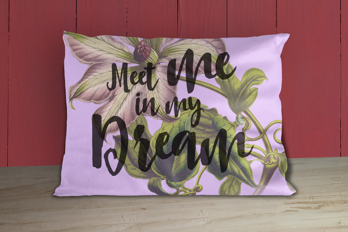 Asly Brush preview 6