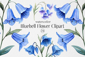 Watercolor Bluebell Flower Clipart, an Illustration by Dream Creation