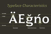 Civane, a Sans Serif Font by insigne (Thumbnail 5 of 5)