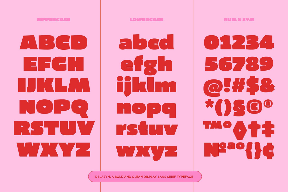 Delasyn, a Sans Serif Font by graphicook (Photo 2 of 10)