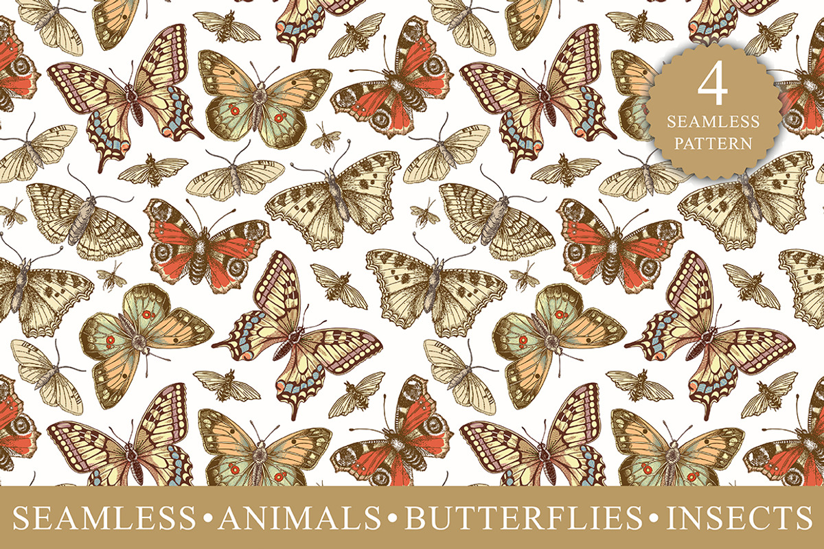 Seamless Butterflies Moth insects, a Pattern Graphic by Vintage (Photo 1 of 13)