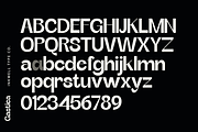 Gastica - Grostesque Typeface, a Sans Serif Font by InkwellTypeCo (Thumbnail 5 of 12)