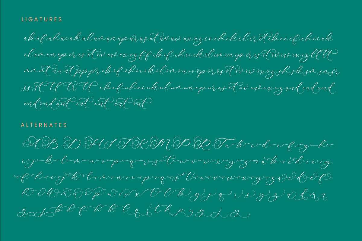 Avonta Qintani Stylish Calligraphy, a Script Font by stylishtype.co (Photo 19 of 20)