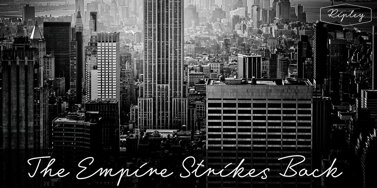 Ripley, a Script Font by GRIN3 (Nowak) (Photo 4 of 6)