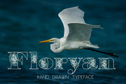 Floryan Font, a Font by Digital Typeface Studio (Thumbnail 1 of 4)