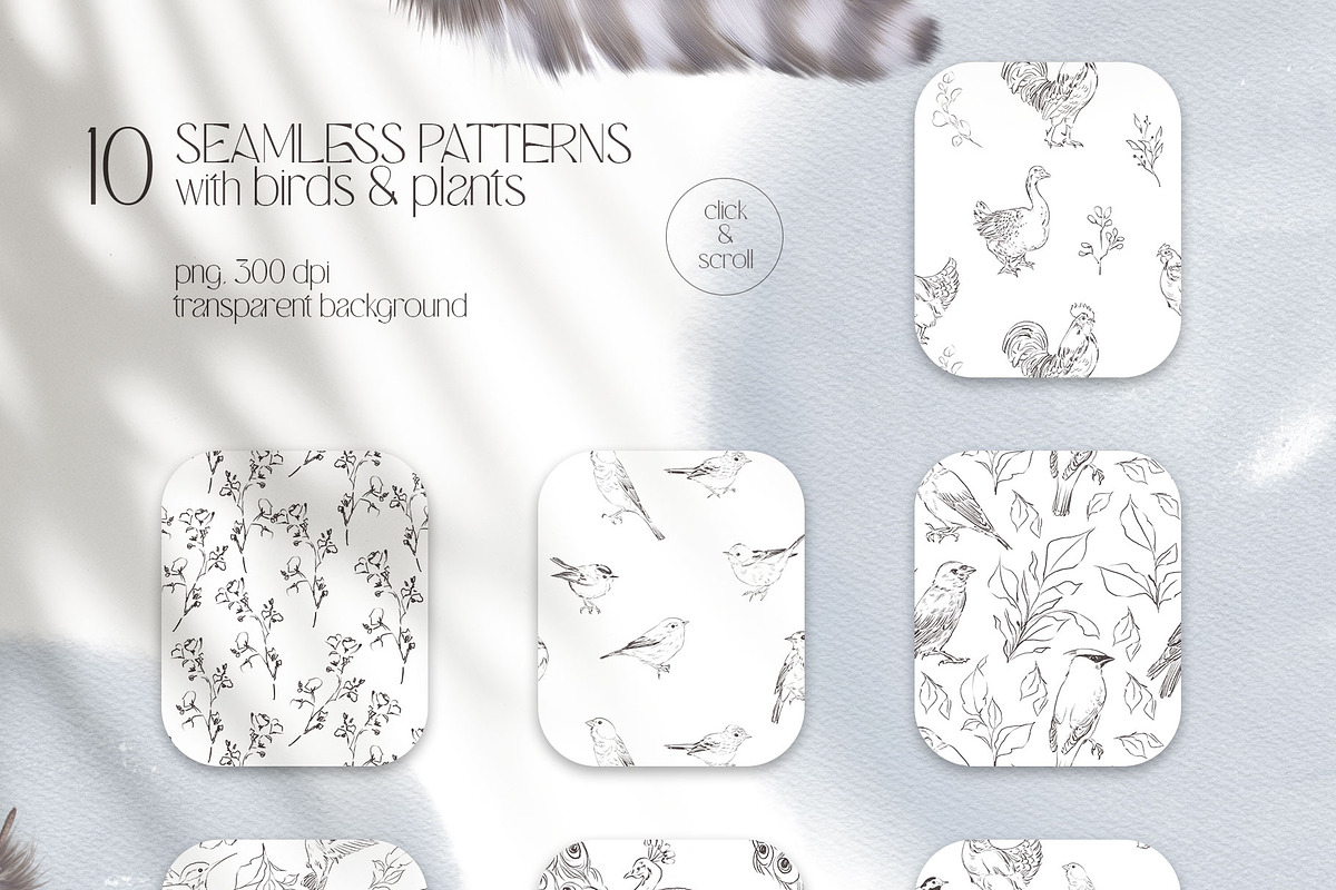 FOREST SONG birds sketches, an Animal Illustration by Yuliia Lashevska (Photo 14 of 15)