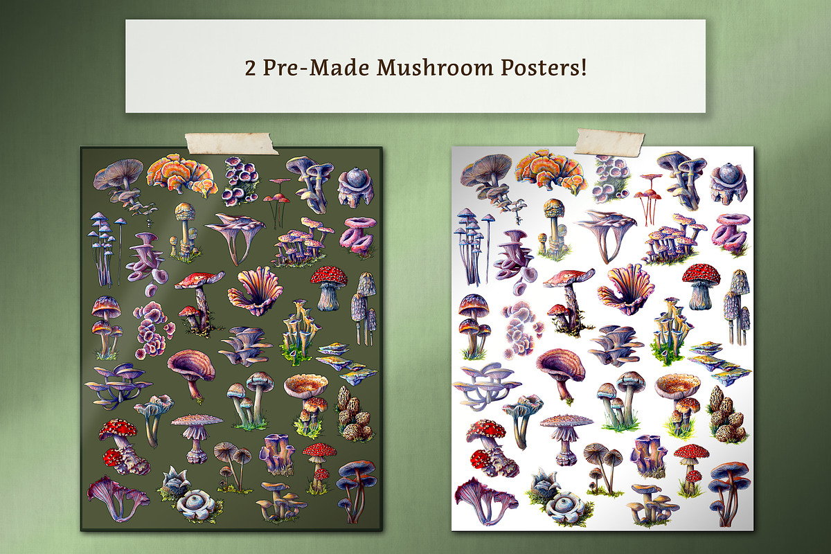 Hand Painted Mushroom Set, an Illustration by The Curio Cabinet (Photo 6 of 6)