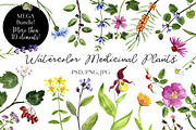 Watercolor Medicinal Plants, a Healthcare Illustration by cat_arch_angel (Thumbnail 1 of 7)