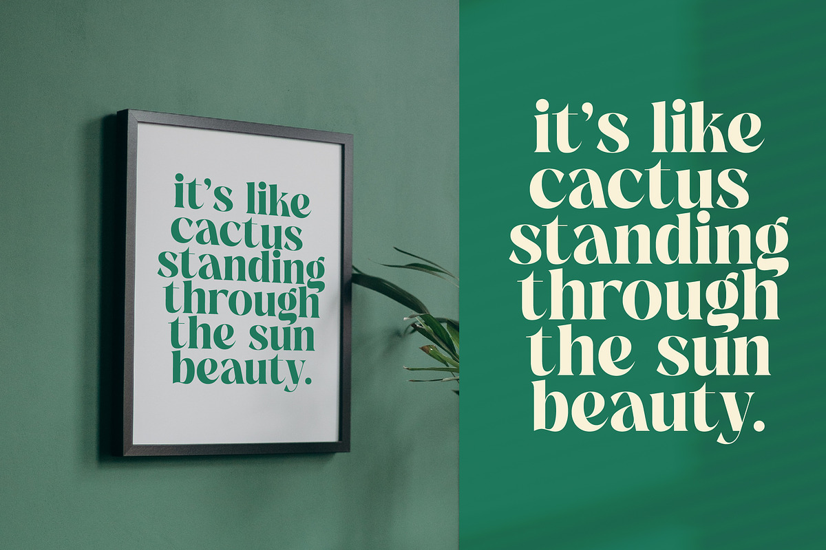 The Bencoy Modern Serif Display, a Serif Font by timelesstype.co (Photo 3 of 20)