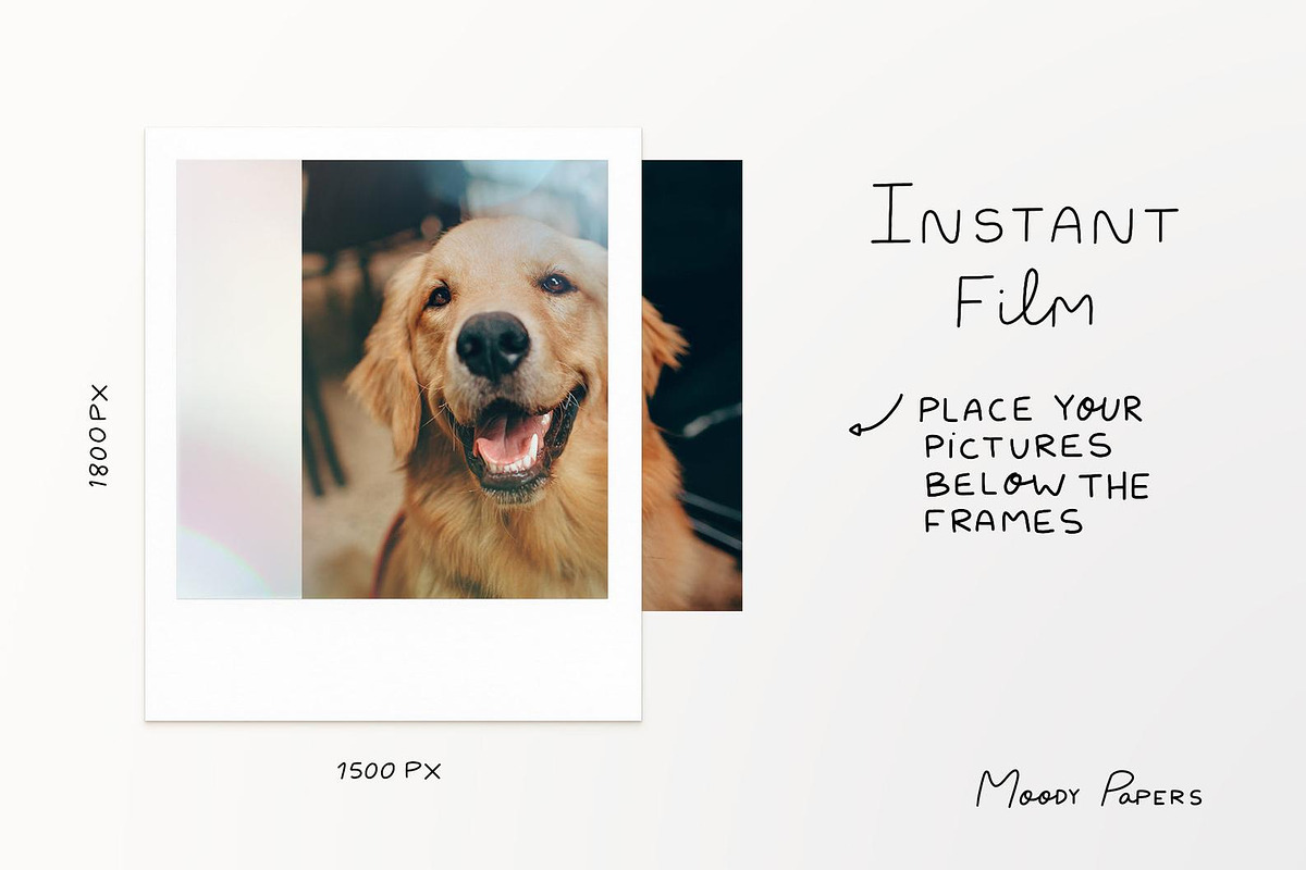 Instant Film Clipart, an Object Graphic by MoodyPapers (Photo 3 of 4)