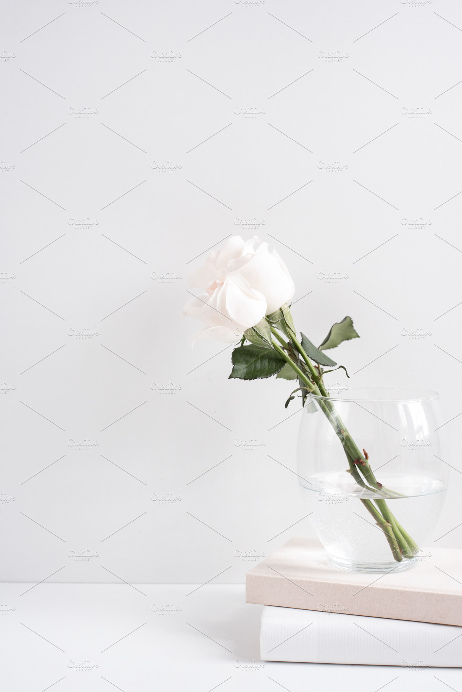 White Rose & Notebooks, Portrait, a Nature Photo by Her Creative Studio
