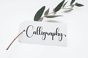 Darling | Script Font, a Handwritten Font by Scratchones (Thumbnail 3 of 9)