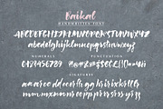 Baikal Handwritten Font with bonus, a Script Font by Vera Holera (Thumbnail 5 of 6)