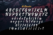 Boyna - Bold Script Font, a Script Font by StringLabs (Thumbnail 13 of 14)