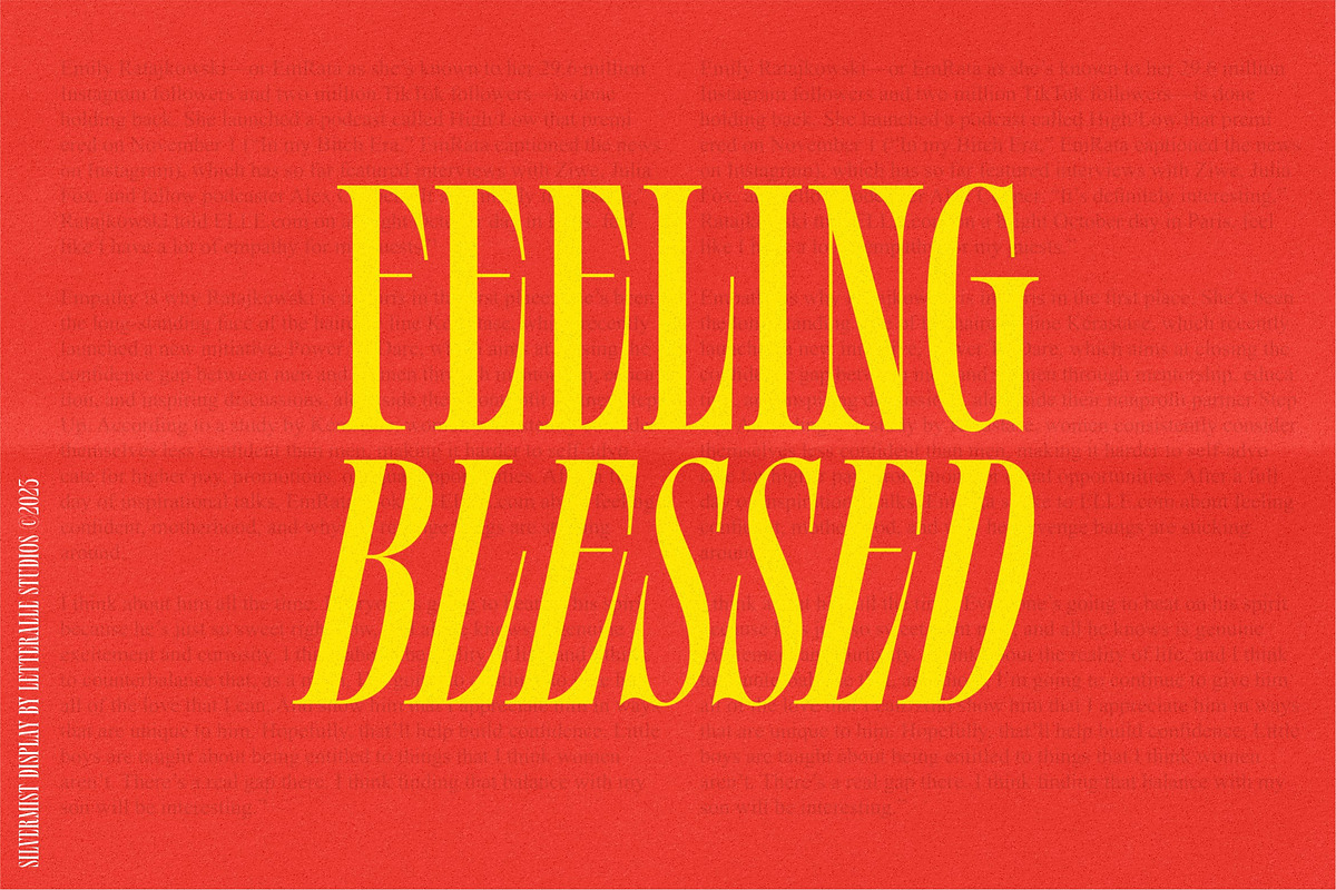 Silvermist Display Serif, a Serif Font by Letteralle Studios (Photo 8 of 9)