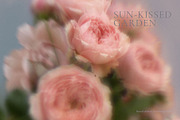 Blurry Flowers Abstract Backgrounds, a Background Graphic by Yuliya Derbisheva (Thumbnail 15 of 15)