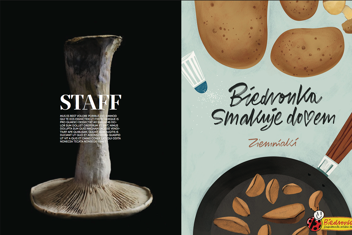 Magazine Indesign Template, a Magazine Template by ADD+ (Photo 3 of 8)