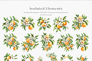 Orange Blossom - Watercolor Set, a Decorative Illustration by ThaismotaCreativeCo (Thumbnail 8 of 9)