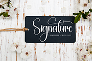 Sublimation | Script Font, a Handwritten Font by Scratchones (Thumbnail 5 of 9)