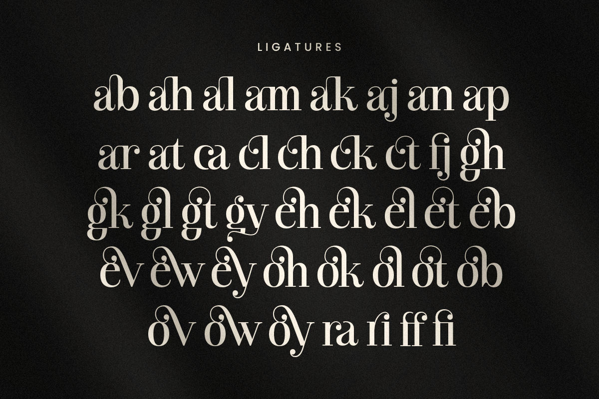 Branck - Modern Luxury Logo Font, a Serif Font by Sensatype (Photo 11 of 12)
