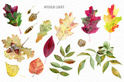 Autumn rustic watercolor kit, a Decorative Illustration by Elegantia (Thumbnail 3 of 10)