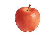 All Fruits Bundle Master Collection, a Food & Drink Photo by FlyeredTemplate (Thumbnail 114 of 130)